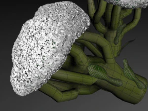 broccoli 3D Model
