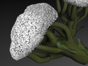broccoli Modèle 3D