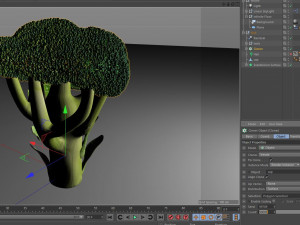 broccoli Modèle 3D