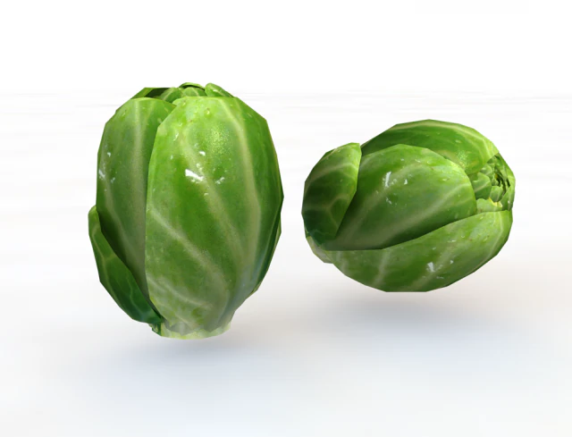 brussels sprouts 3D Model .c4d .max .obj .3ds .fbx .stl .blend 