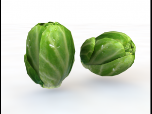 brussels sprouts Modelo 3D