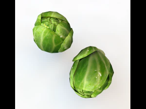 brussels sprouts 3D Model