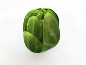 brussels sprouts 3D Model
