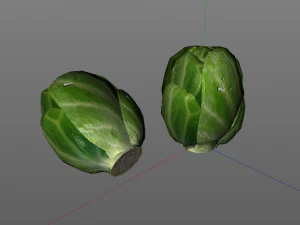 brussels sprouts 3D Model