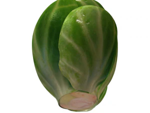brussels sprouts 3D Model