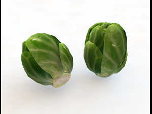 brussels sprouts 3D Model