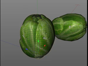brussels sprouts 3D Model