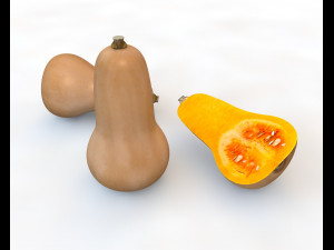 butternut squash Modelo 3D