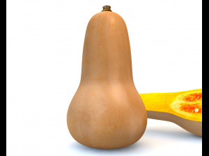 butternut squash 3D Model