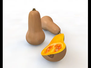 butternut squash 3D Model