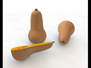 butternut squash 3D Model