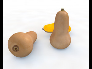 butternut squash 3D Model