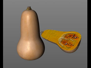 butternut squash 3D Model