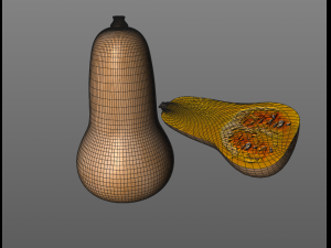 butternut squash 3D Model