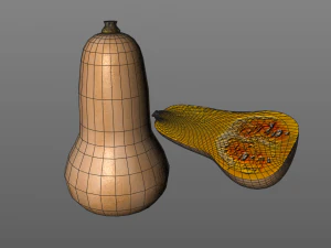 butternut squash 3D Model