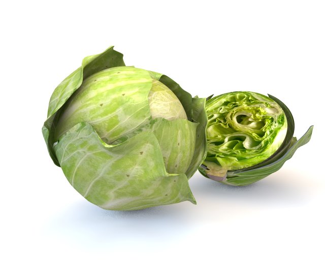 cabbage green 3D-Modell .c4d .max .obj .3ds .fbx .stl .blend 
