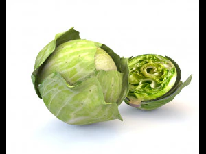 kapusta zielona Model 3D