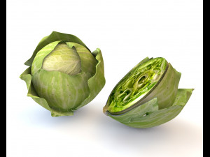 cabbage green 3D-Modell
