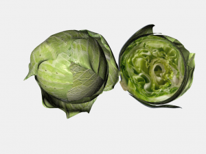 cabbage green 3D-Modell