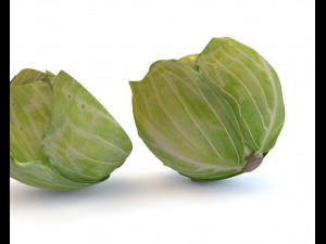 cabbage green 3D-Modell