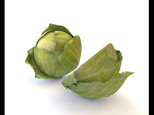 cabbage green 3D-Modell