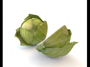 repolho verde Modelo 3D