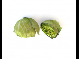 cabbage green 3D-Modell