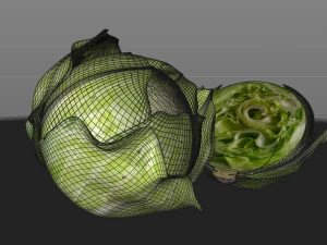 repolho verde Modelo 3D