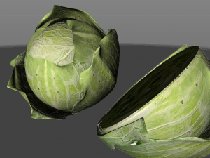 cabbage green 3D-Modell