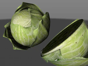 repolho verde Modelo 3D