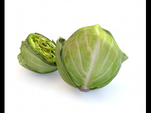 cabbage green 3D-Modell