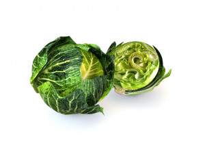 cabbage dark green 3D Model