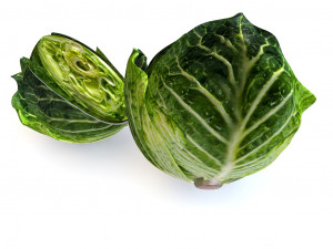 cabbage dark green Modello 3D