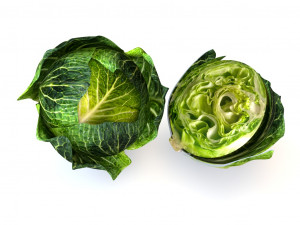 cabbage dark green Modello 3D