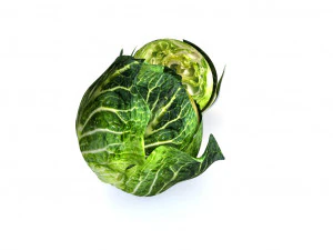 cabbage dark green 3D Model