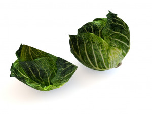 cabbage dark green Modello 3D