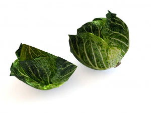 cabbage dark green 3D Model