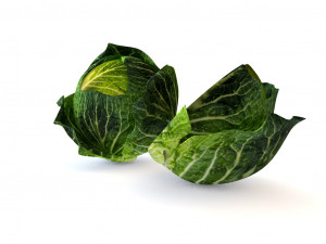cabbage dark green Modello 3D