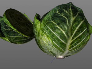 cabbage dark green Modello 3D