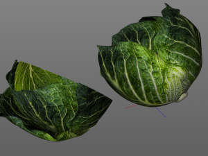 cabbage dark green Modello 3D