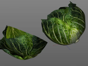 cabbage dark green 3D Model