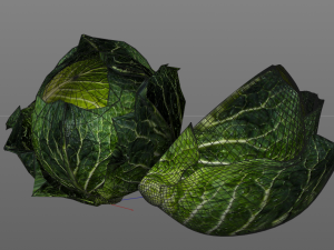 cabbage dark green Modello 3D