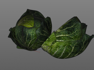 cabbage dark green Modello 3D