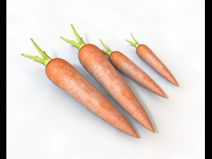 carrots 3D Model