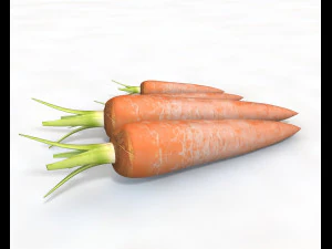 carrots 3D Model