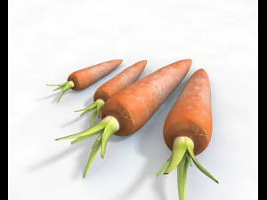 carrots 3D Model