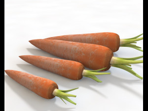 carrots Modelo 3D