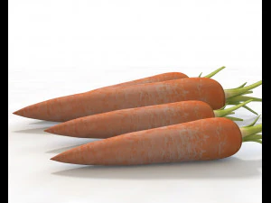 carrots 3D Model