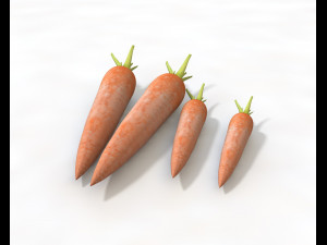 carrots Modelo 3D