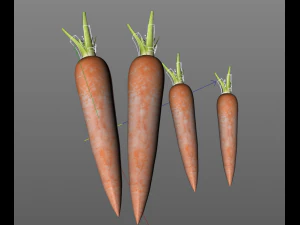 carrots 3D Model